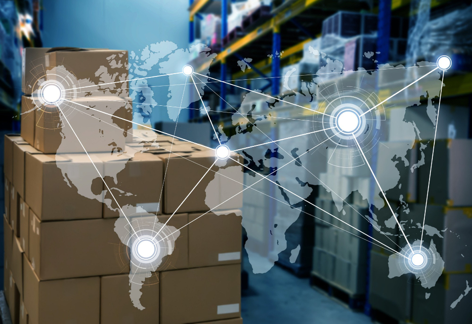 The Great Logistics Divide: IT Solutions for a Resilient Supply Chain